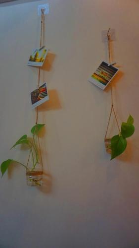 Apartamento Yy+??