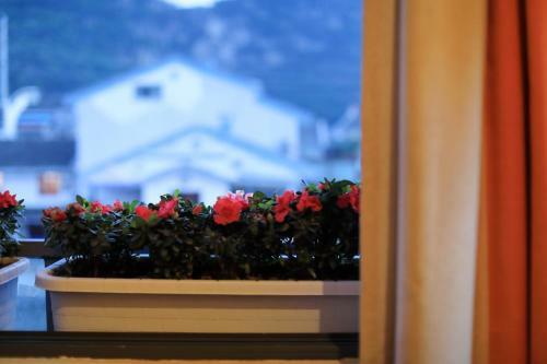 Hostal Lishe