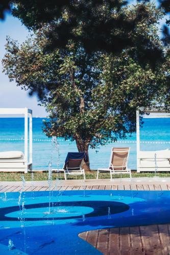 Fig Tree House