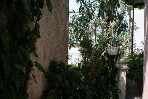 Hostal Double Room Baska Voda 6704a