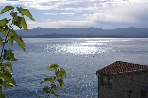 Apartments By The Sea Bol (Brac) - 2905
