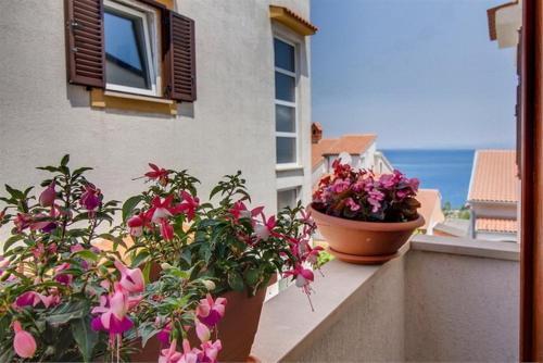Apartments Stela