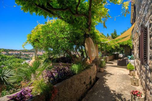 Villa Tranquillity XII