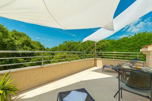 Apartment Fuscus A1