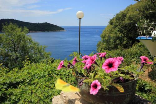 Apartment Dubrovnik 9077e