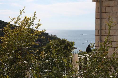 Apartment Dubrovnik 4688a