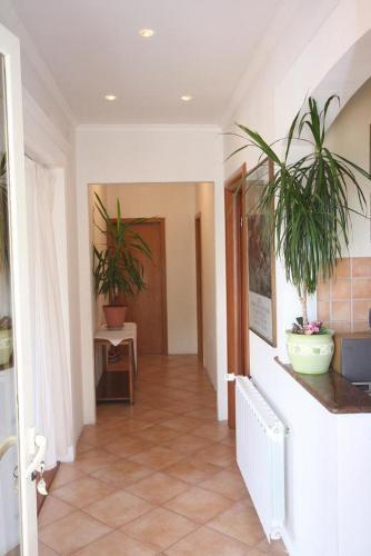Apartment Dubrovnik 4688a