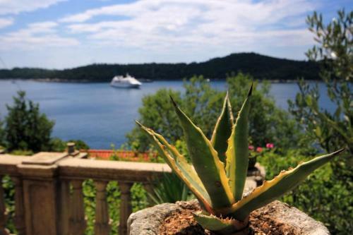 Apartment Dubrovnik 9077d