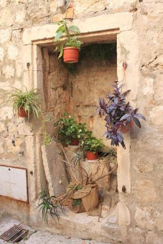 Apartamentos Studio Dubrovnik 8546a