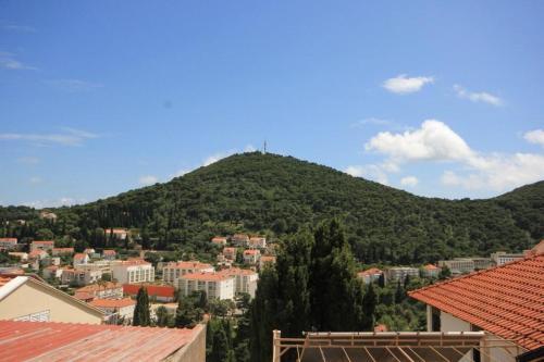 Apartments And Rooms With Parking Space Dubrovnik - 2148