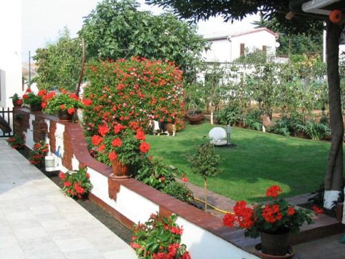 Apartment In Fazana/istrien 8633