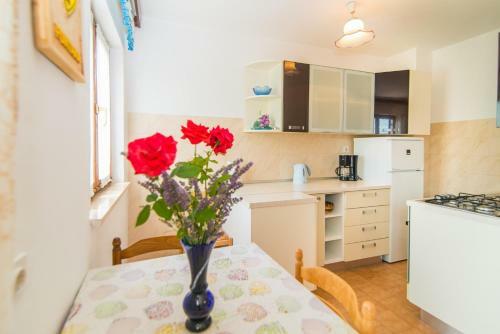 Apartment Ana Coki