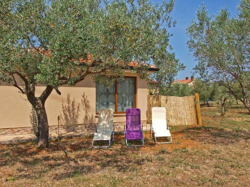 Apartamentos Studio Massimo 907