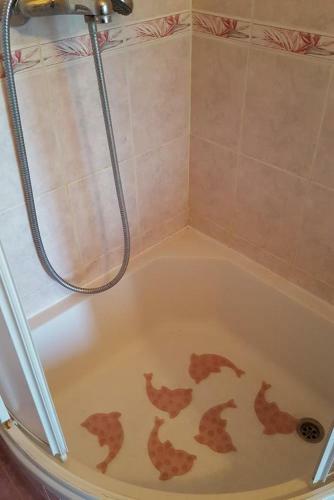 Apartamentos Studio Gradac 15642b