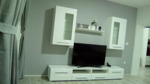 Apartments With A Parking Space Gradac (makarska) - 16263