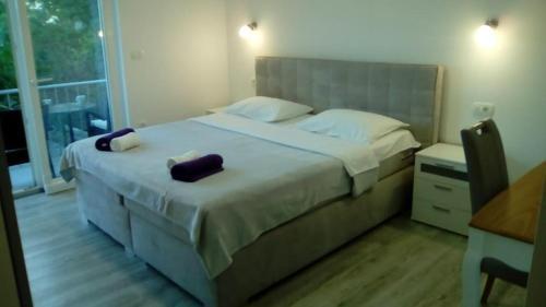 Apartments With A Parking Space Gradac (makarska) - 16263