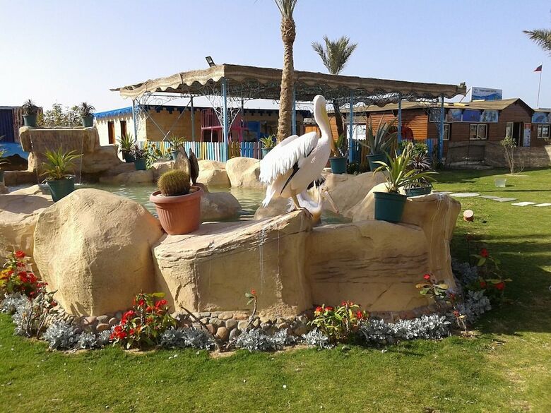 Hotel Hawaii Le Jardin Aqua Park Hurghada