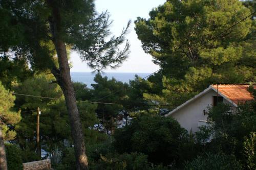Apartment Jelsa 4017b
