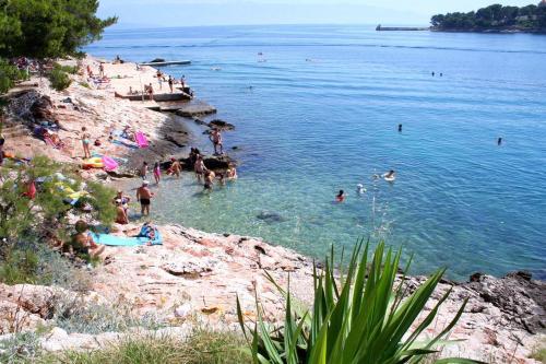 Apartments By The Sea Jelsa (hvar) - 12247