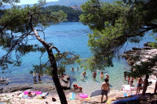 Apartments By The Sea Jelsa (hvar) - 12247