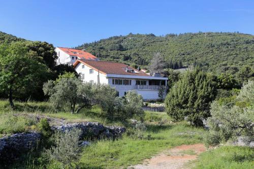 Apartment Zrnovska Banja 13636a