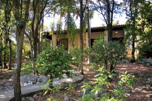 Holiday Home Zrnovska Banja 9232