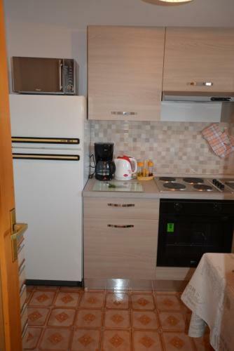 Apartment Slavica