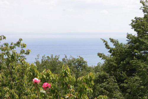 Apartments With A Parking Space Lovran (opatija) - 7743