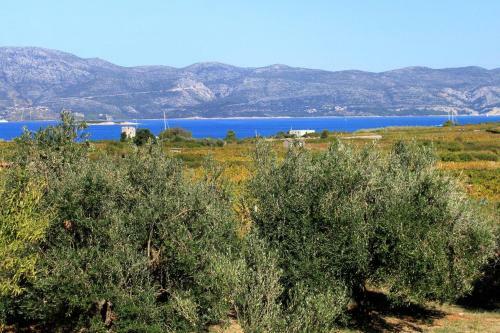 Apartment Lumbarda 4353d
