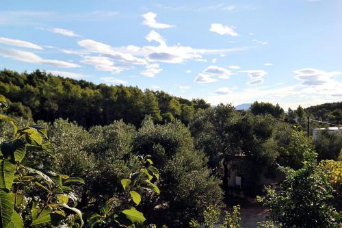 Apartments With A Parking Space Lumbarda (korcula) - 9298