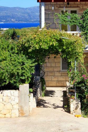 Apartment Lumbarda 4353b