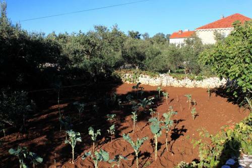Apartamentos Studio Lumbarda 9298a