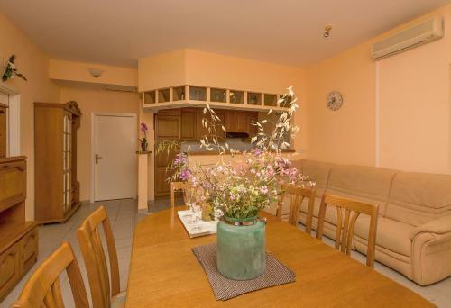 Apartments Branka