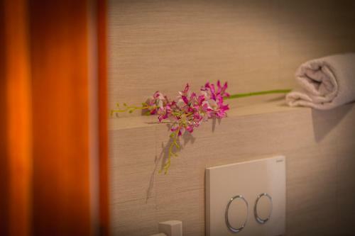 Apartmani Kike