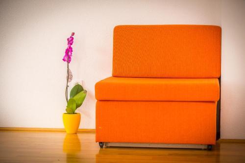 Apartmani Kike