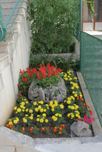 Apartment Makarska 6765a