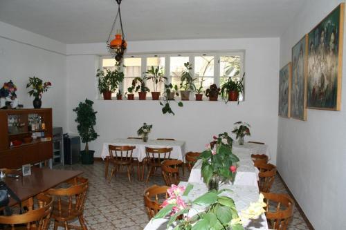 Apartment Makarska 2640a