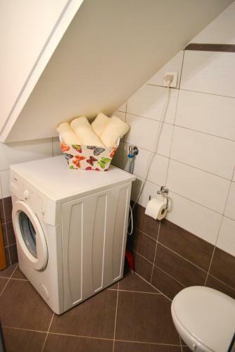Apartment Sopta