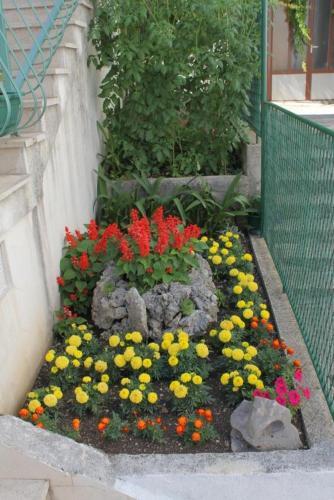 Apartment Makarska 6765c