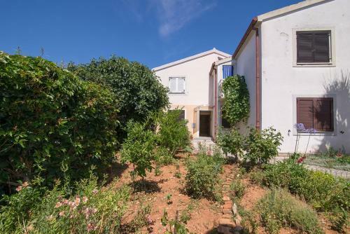 Apartamentos Josipa B4