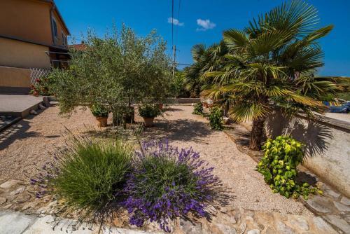 Apartments With A Parking Space Malinska (krk) - 13219