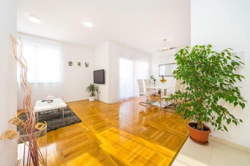 Apartment Haja