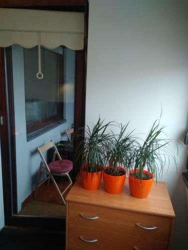 Apartamento Best & Cosy Studio