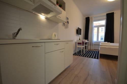 Downtown Luxury Apartment