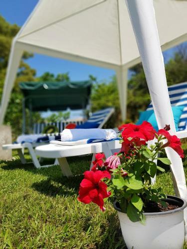 Apartamento Villa Helen