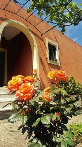 Apartamento Villa Helen