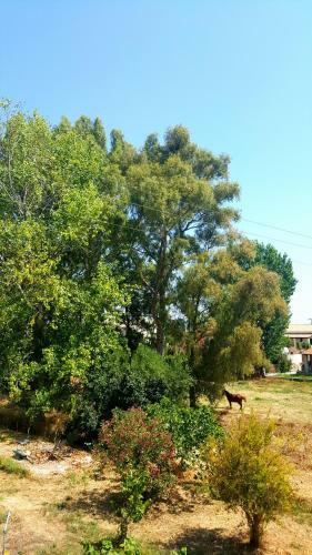 Apartamento Villa Helen