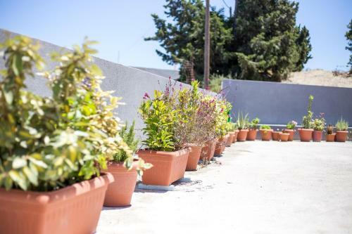 Apartamento Savviou Rooms
