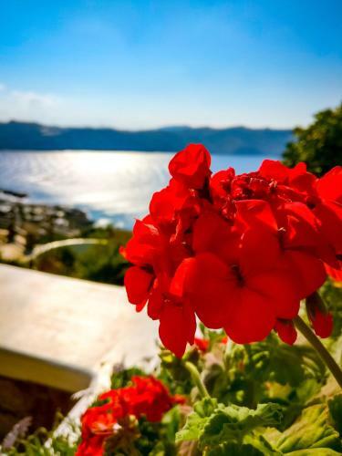 Villa Crystal Agios Sostis