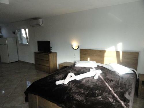 Apartamento Delfini House